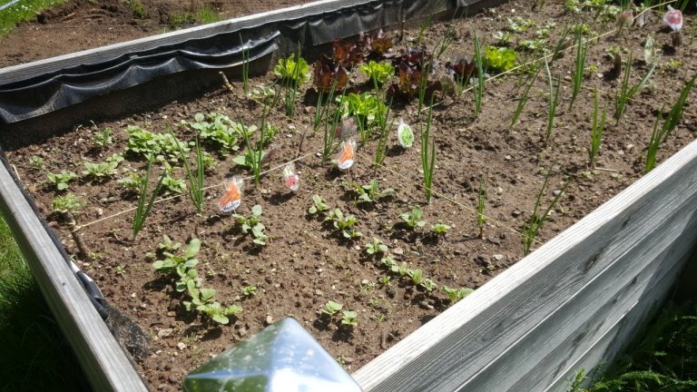 Grossansicht in neuem Fenster: 13 - Einblicke OGTS