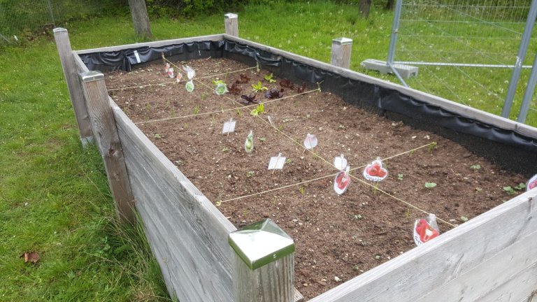 Grossansicht in neuem Fenster: 14 - Einblicke OGTS